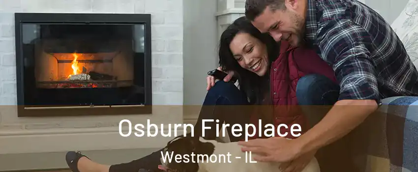  Osburn Fireplace Westmont - IL