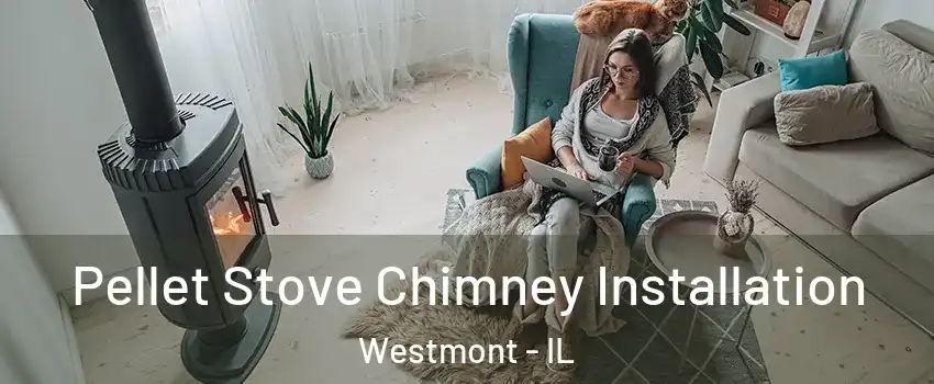  Pellet Stove Chimney Installation Westmont - IL