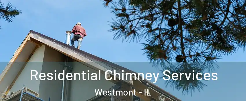  Residential Chimney Services Westmont - IL